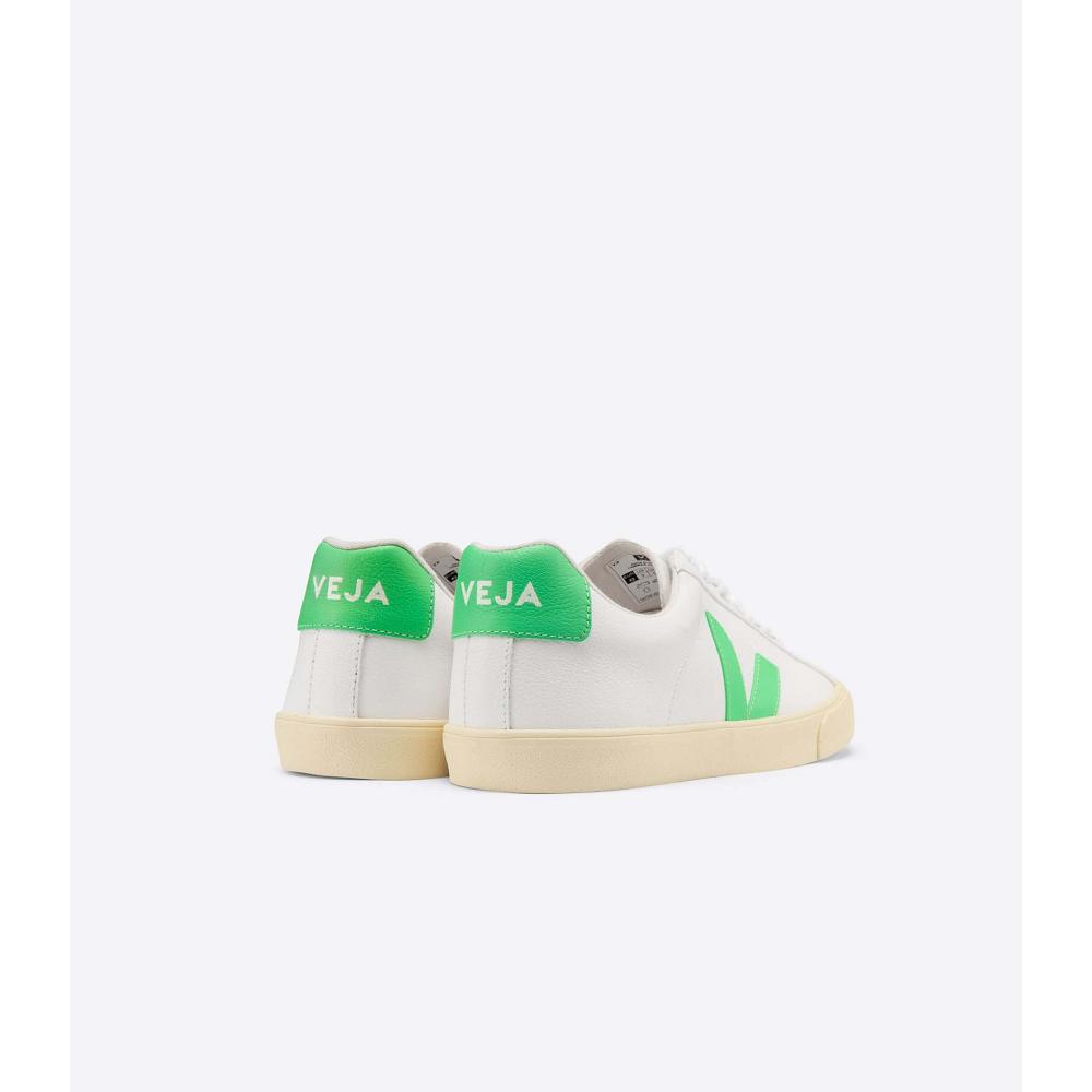 Men's Veja ESPLAR CHROMEFREE BUTTER-SOLE Sneakers White | ZA 301BEX